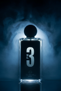 PM 3 Deluxe | Nightfall Eau de Parfum for Men | Modern & Mysterious Fragrance
